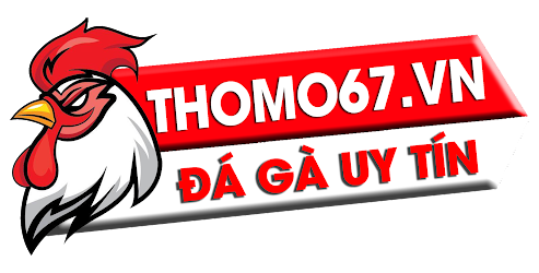 Thomo67 là gì?